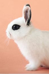 《燕云十六声》绝美舞蹈幕后揭秘 舞蹈大师助力呈现